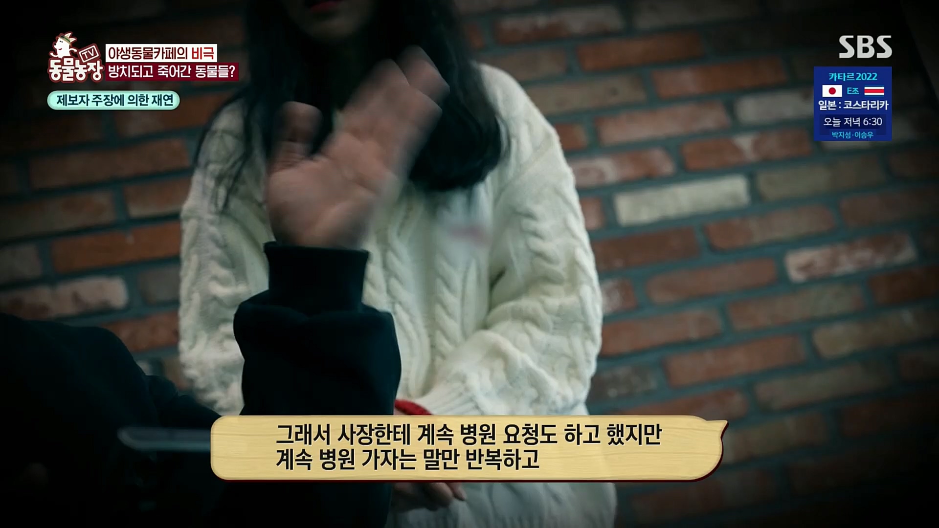 TV 동물농장.E1097.221127p.H264-F1RST.mp4_20221127_181718.853.jpg