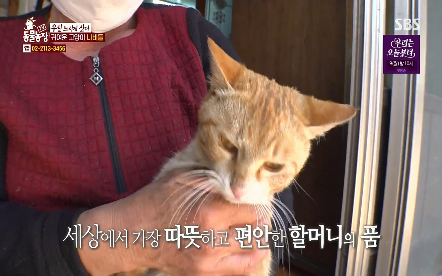 TV 동물농장.E1067.220501p.H264-F1RST.mp4_20220501_183832.085.jpg