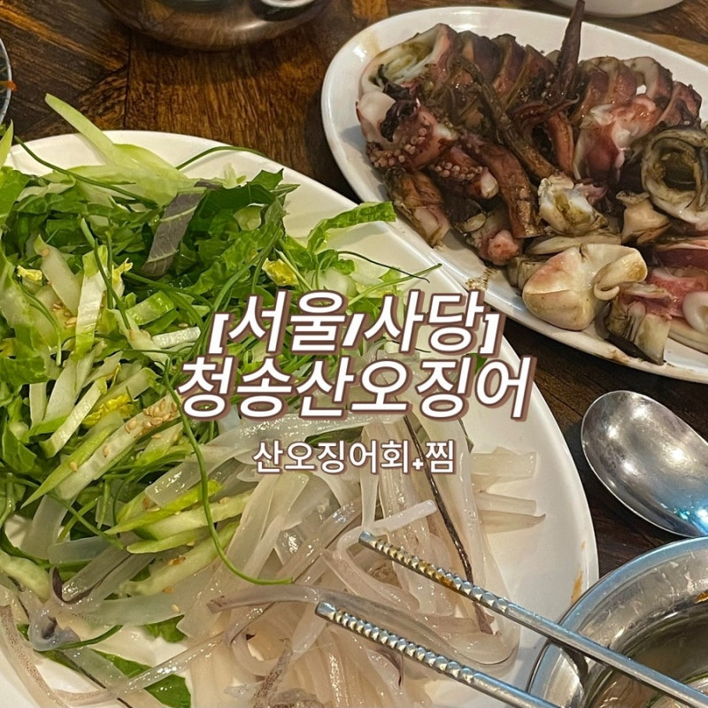산오징어 이미지