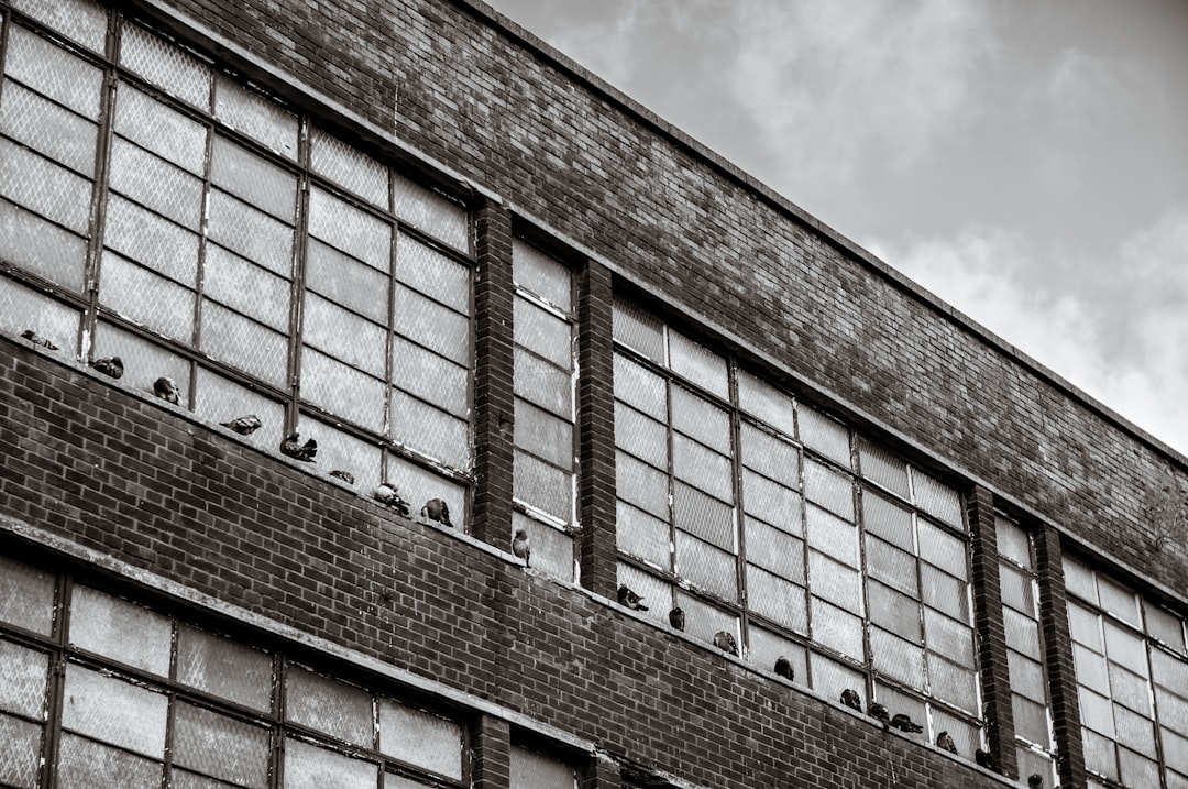 Factory Reset