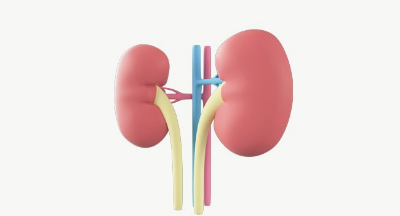 신장 기능이 좋지 않은 증상입니다.