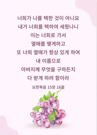 요한복음 15장 5절 해석 - 나는 포도나무요 너희는 가지라 내 안에 있으라_8