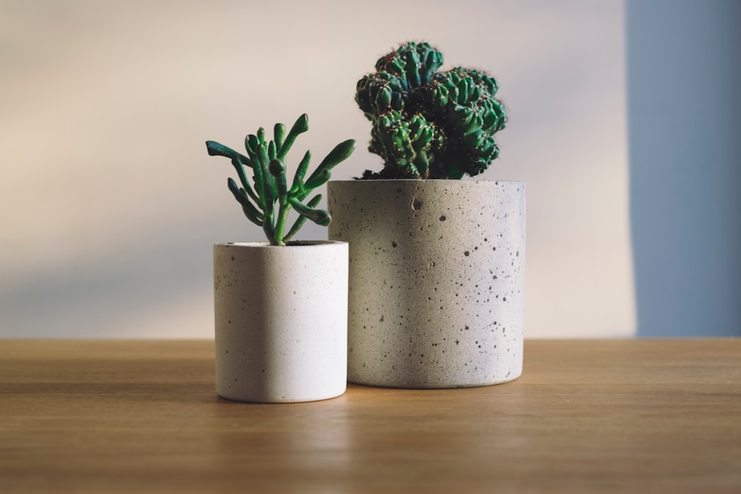Home decor