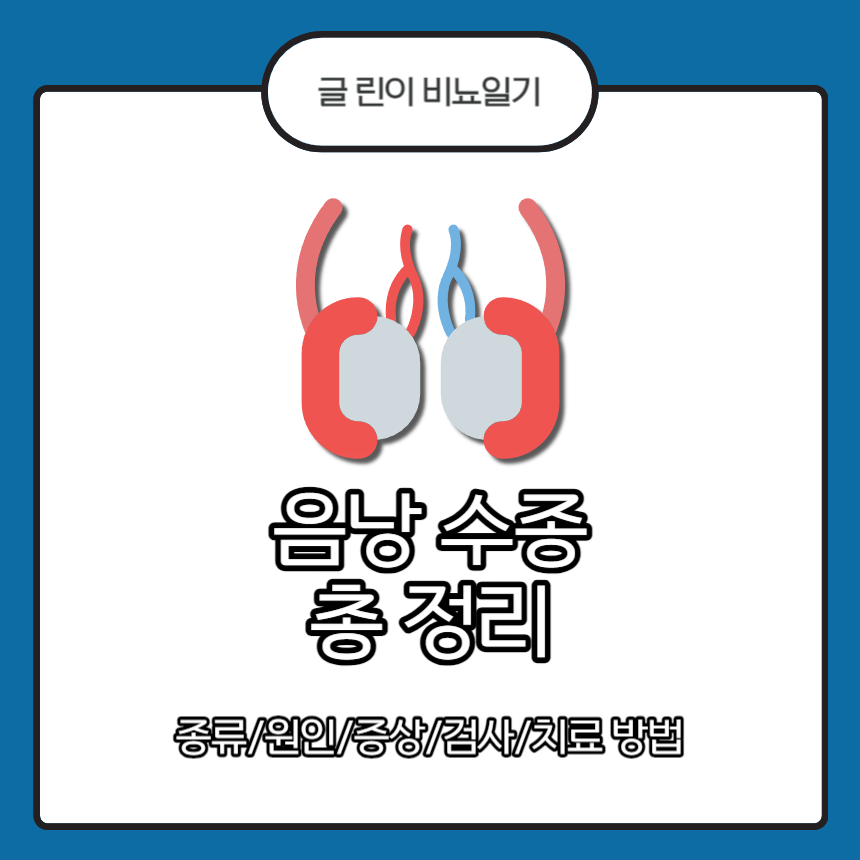  음낭 수종 총 정리 : 종류/원인/증상/검사/치료 방법