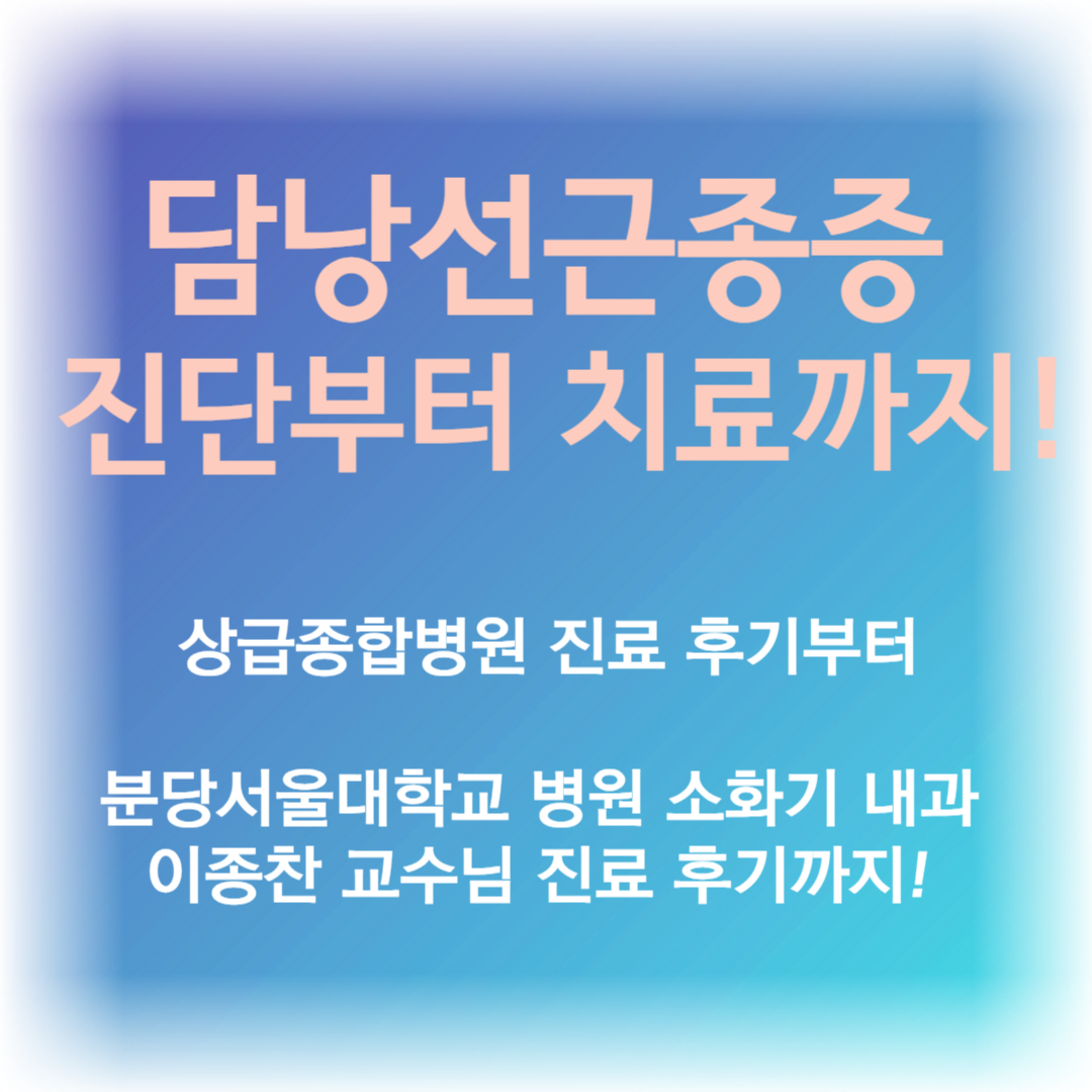 담낭선근종증 분당서울대병원 이종찬 교수님 진료 후기