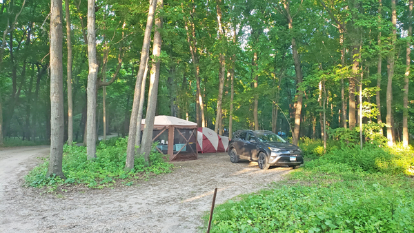 Big Island Campground - Myre-Big Island State Park