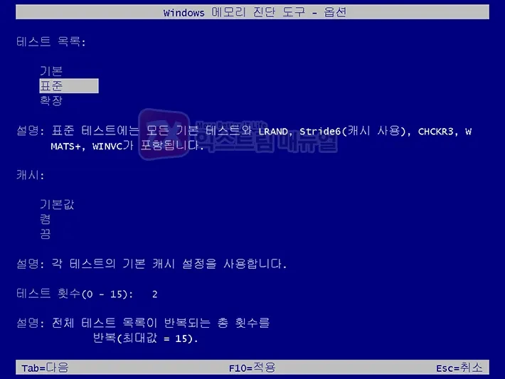 windows 메모리 검사