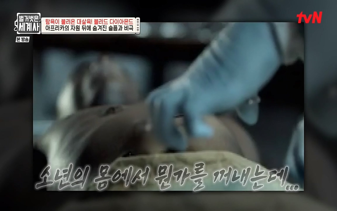 벌거벗은 세계사.E62.220831p-NEXT.mp4_20220905_195327.974.jpg