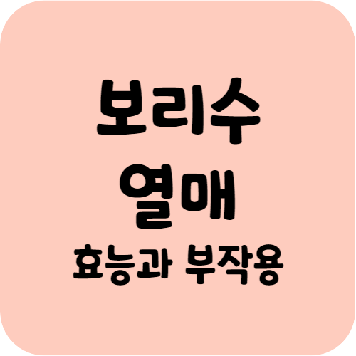 보리수 열매의 효능과 부작용