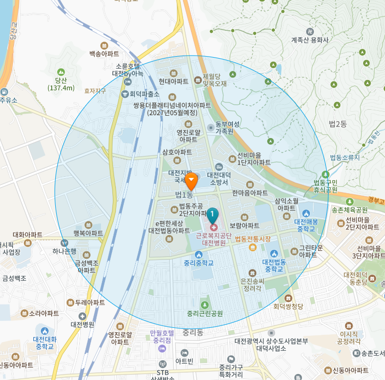 대전 대덕구 법동 일요일 진료 휴일 문 여는 병원