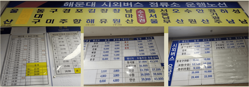 부산 해운대 시외버스터미널 시간표·요금·예매