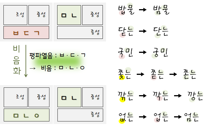 한국어음운론2 (음운의 변동, 평폐쇄음화, 비음화, 치조비음화)