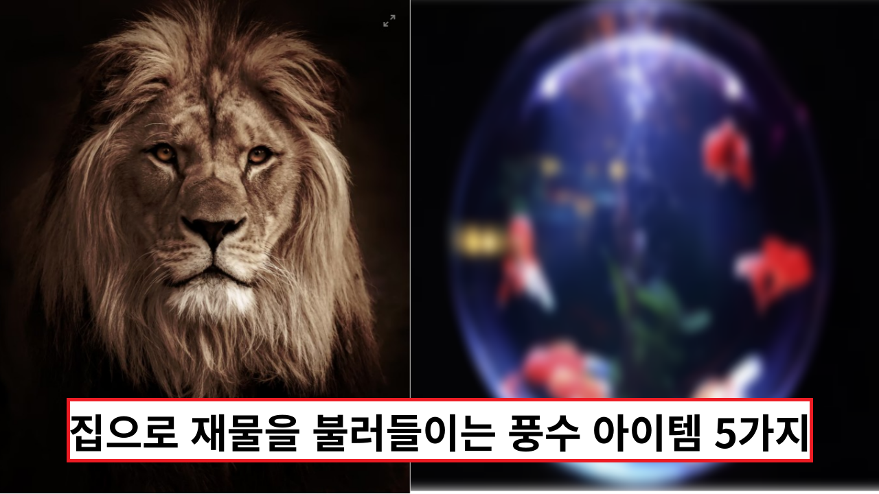 집으로 재물을 불러들이는 풍수 아이템 5가지