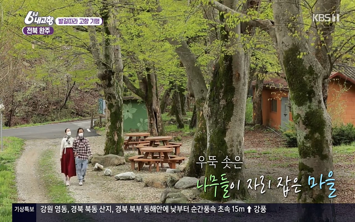 6시 내고향.E7523.220421p-NEXT.mp4_20220507_180352.490.jpg