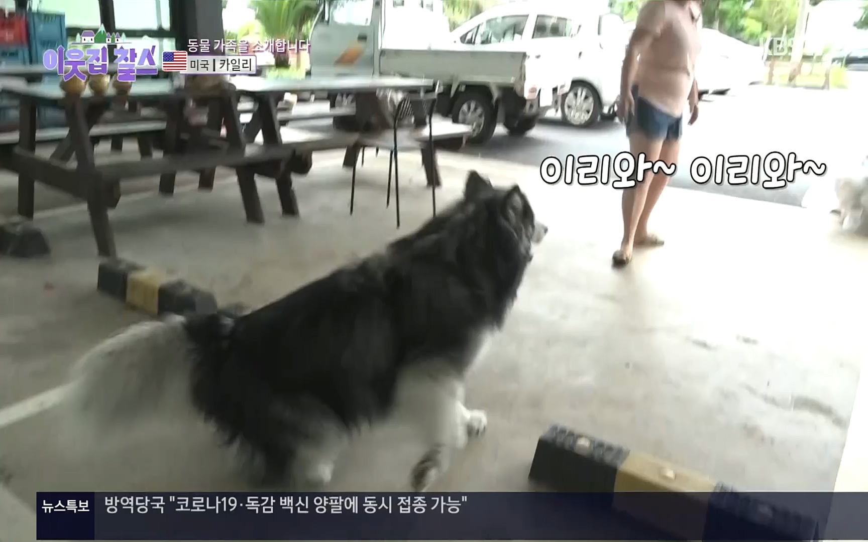 이웃집 찰스.E355.220920p.H264-F1RST.mp4_20220921_205654.600.jpg