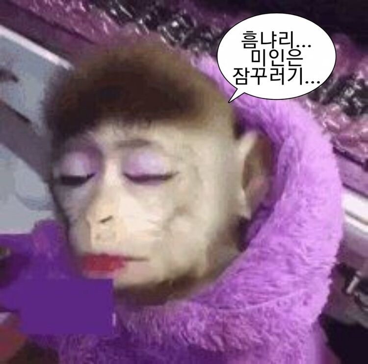 나 예뻐짤 예뻐짤 예쁘다짤 예쁘면다냐짤 미인은 잠꾸러기짤 나 예뻐짤 예뻐짤 예쁘다짤 예쁘면다냐짤 미인은 잠꾸러기짤