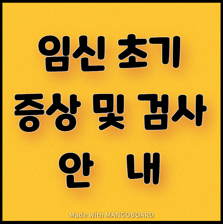  임신 초기 증상 및 검사 등 안내