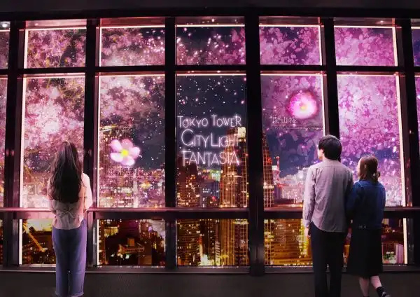 네이키드×도쿄타워 CITY LIGHT FANTASIA Spring Concerto 2025(시바공원)2