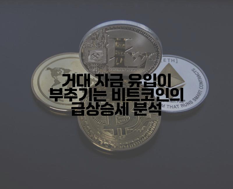 거대 자금 유입이 부추기는 비트코인의 급상승세 분석