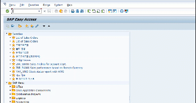  파이썬으로 SAP Script  실행하기 (with argument)