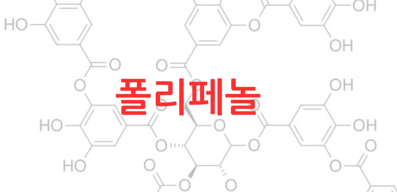 다크 초콜릿의 다이어트 효과
