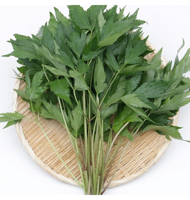 아직도 고기에 깻잎·상추를 싸 먹는다고요?
