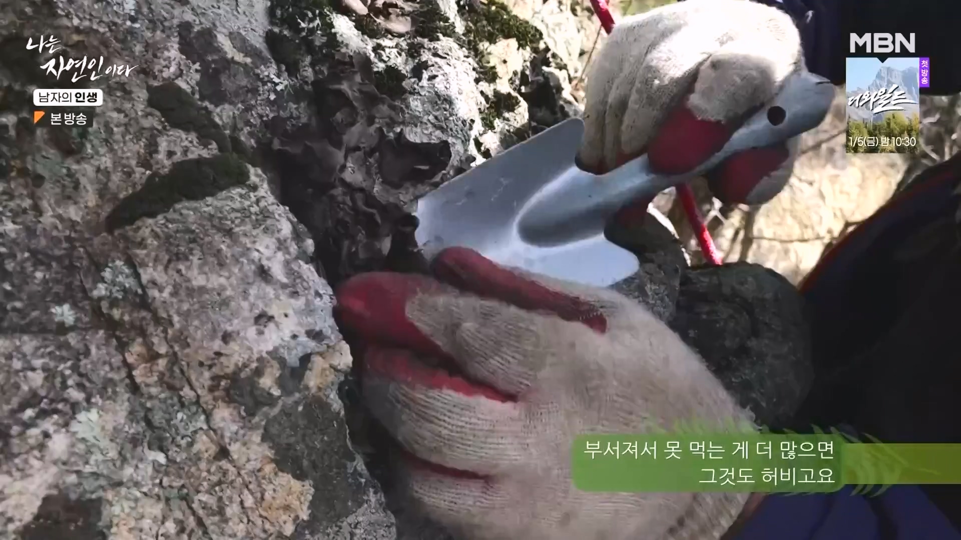 나는 자연인이다.E586.231227p-NEXT.mp4_20231229_201753.918.jpg