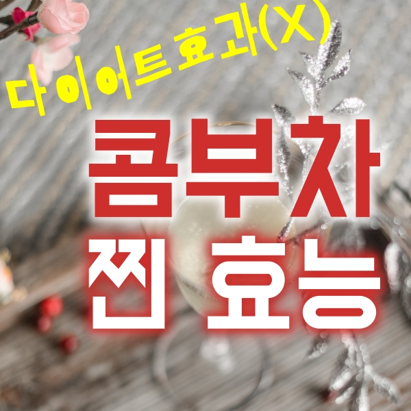 콤부차의 건강상 이점과 효능은?(다이어트효과는 검증X)