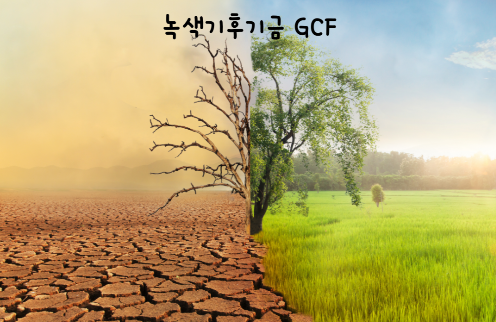 녹색기후를 나타내는 왼쪽엔 사막&#44; 오른쪽엔 푸른 초원을 나타내는 사진