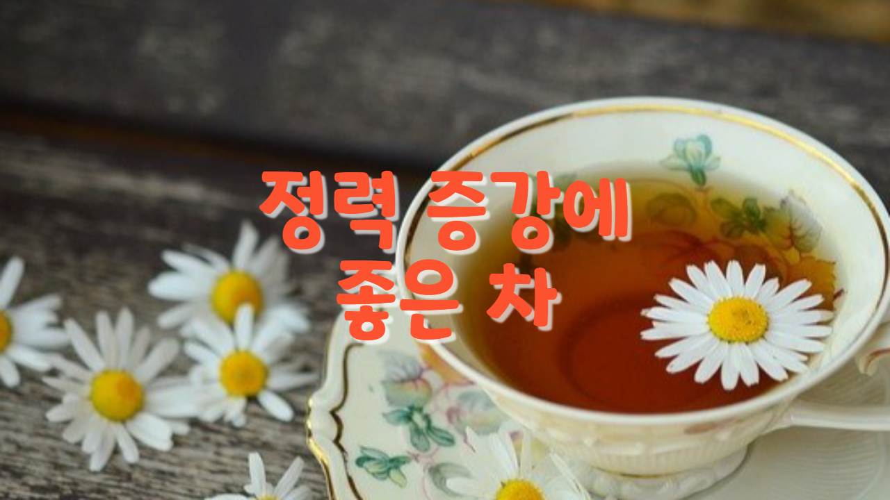  정력 증강에 좋은 차
