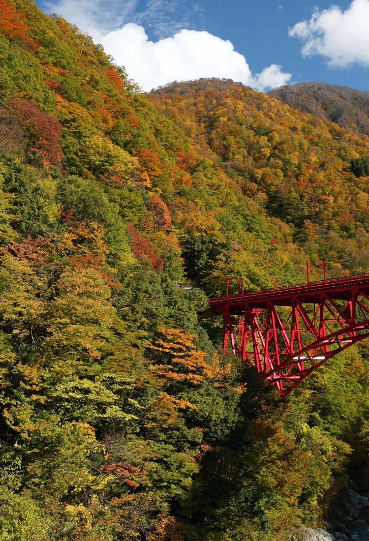 단풍구경 명소