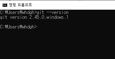 git 설치 확인 완료
