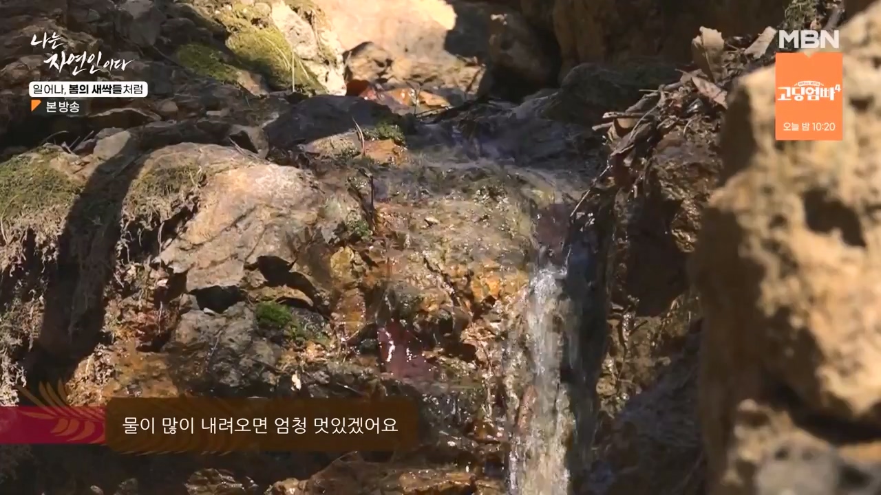 나는 자연인이다.E593.240215p-NEXT.mp4_20240215_200734.732.jpg