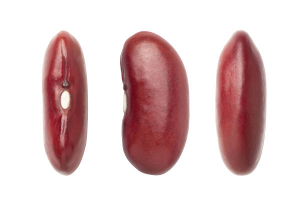 팥 효능 10가지 부작용 보관법 35