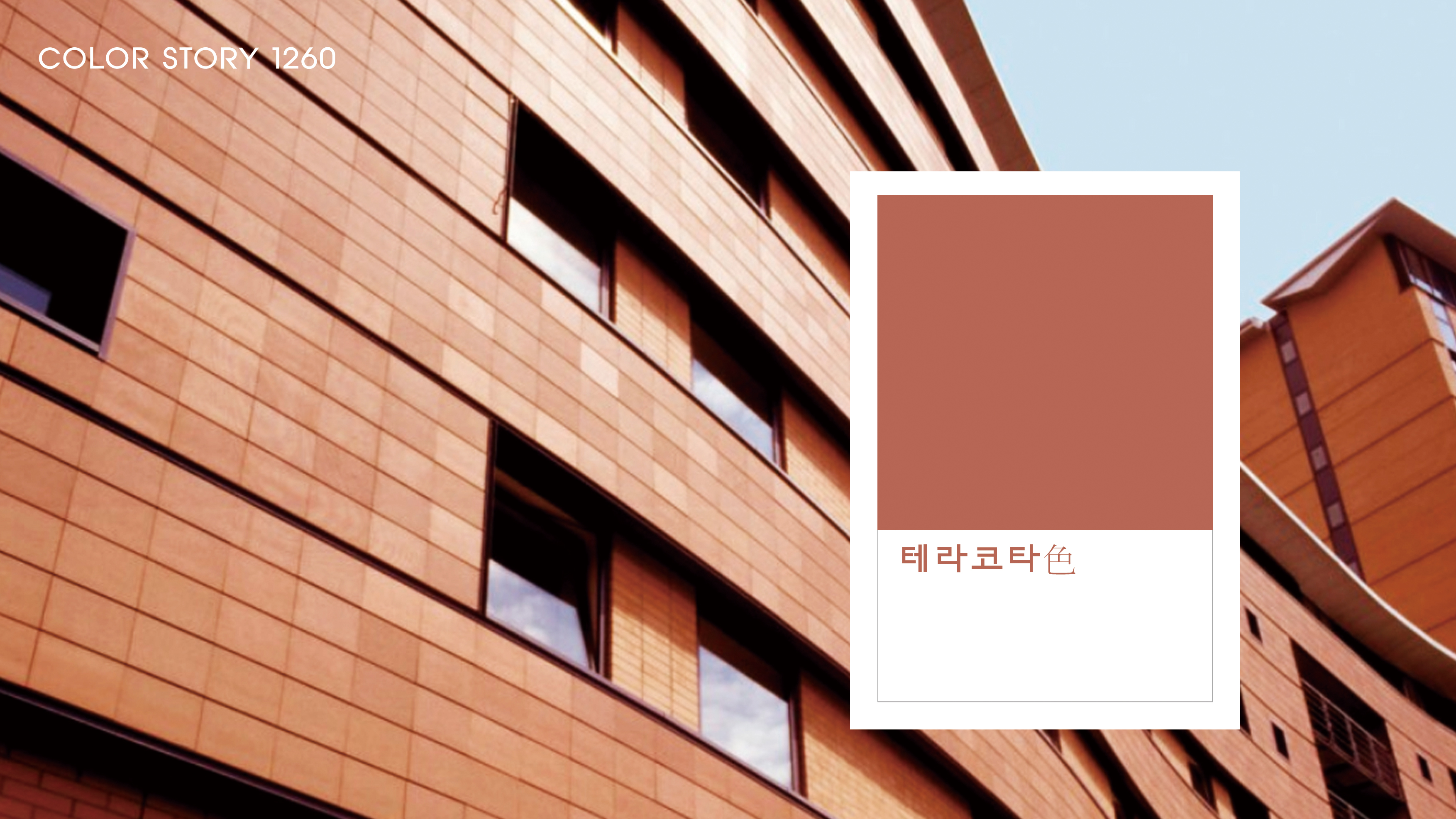 테라코타 이미지
