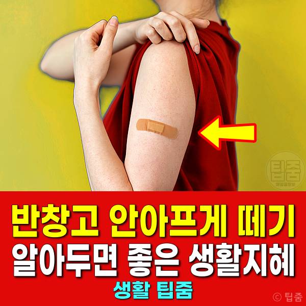 통증 없이 붕대를 제거합니다.  오랫동안 붕대를 감고 있는 경우 알레르기성 접촉 피부염