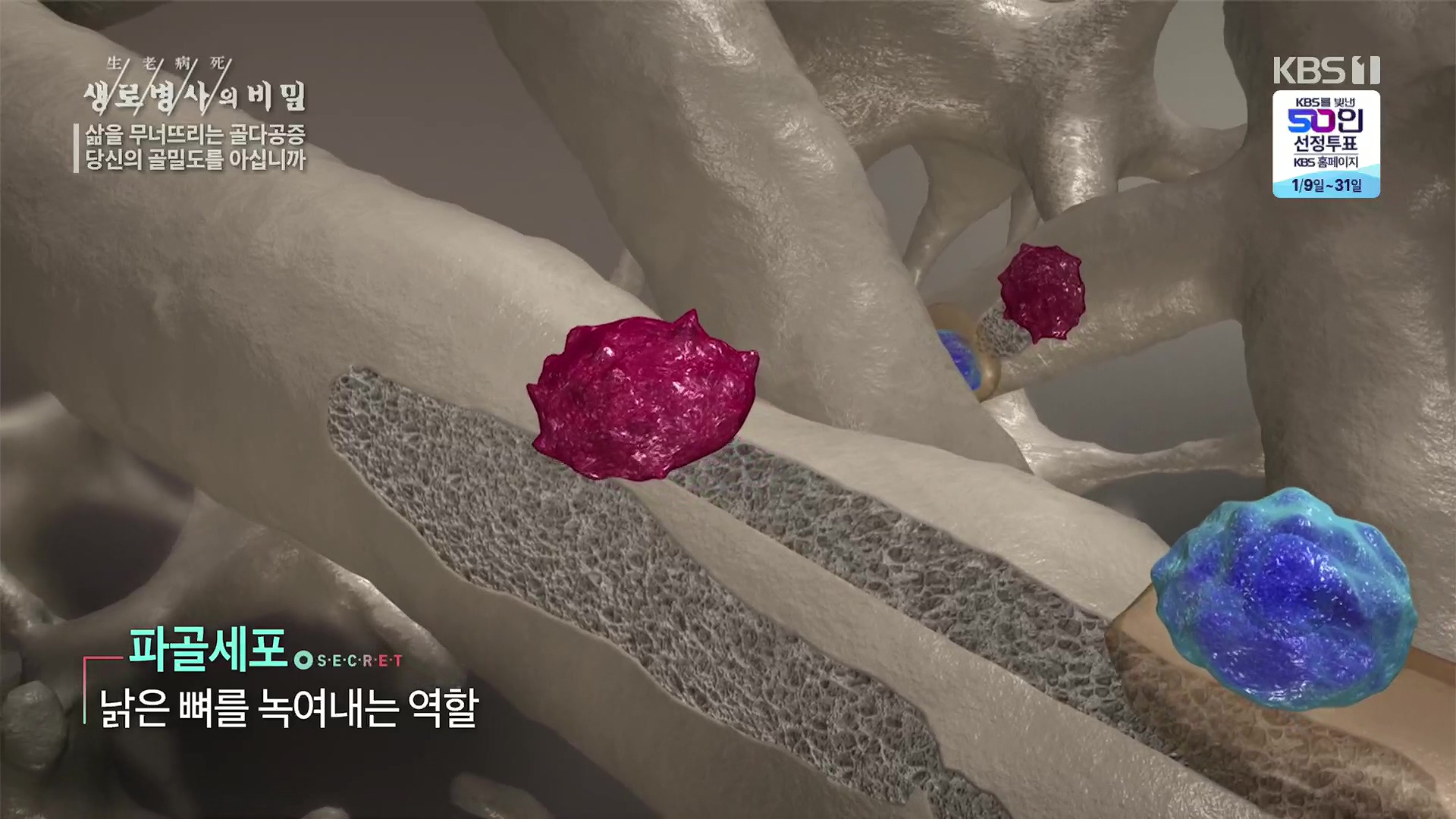 생로병사의 비밀.E852.230118p.H264-F1RST.mp4_20230120_194157.395.jpg