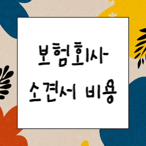 보험회사 제출용 소견서는 무료일까요?