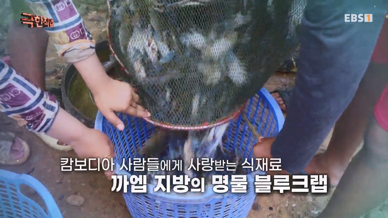 TV - 전 국민의 평생학교 EBS캄보디아 오리 유목민과 블루크랩 어부.mp4_20231223_172846.866.jpg