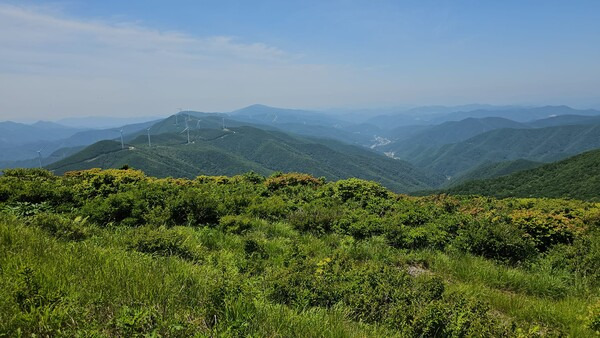 태백산 등산코스
