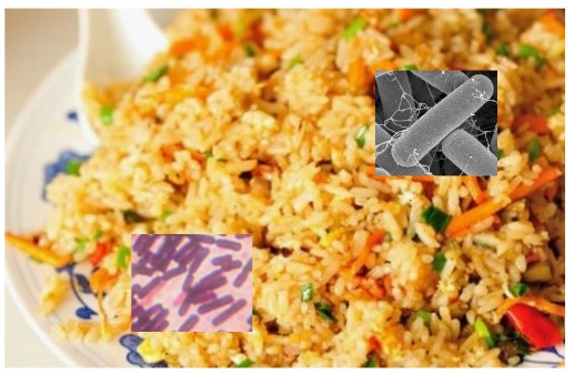 양볶음밥(2인 분량)