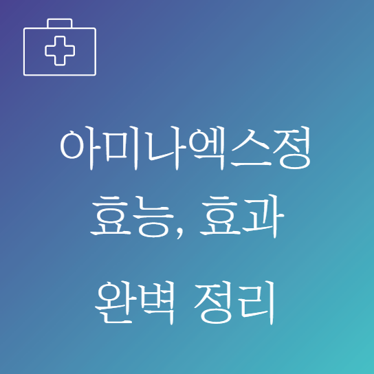 아미나엑스정