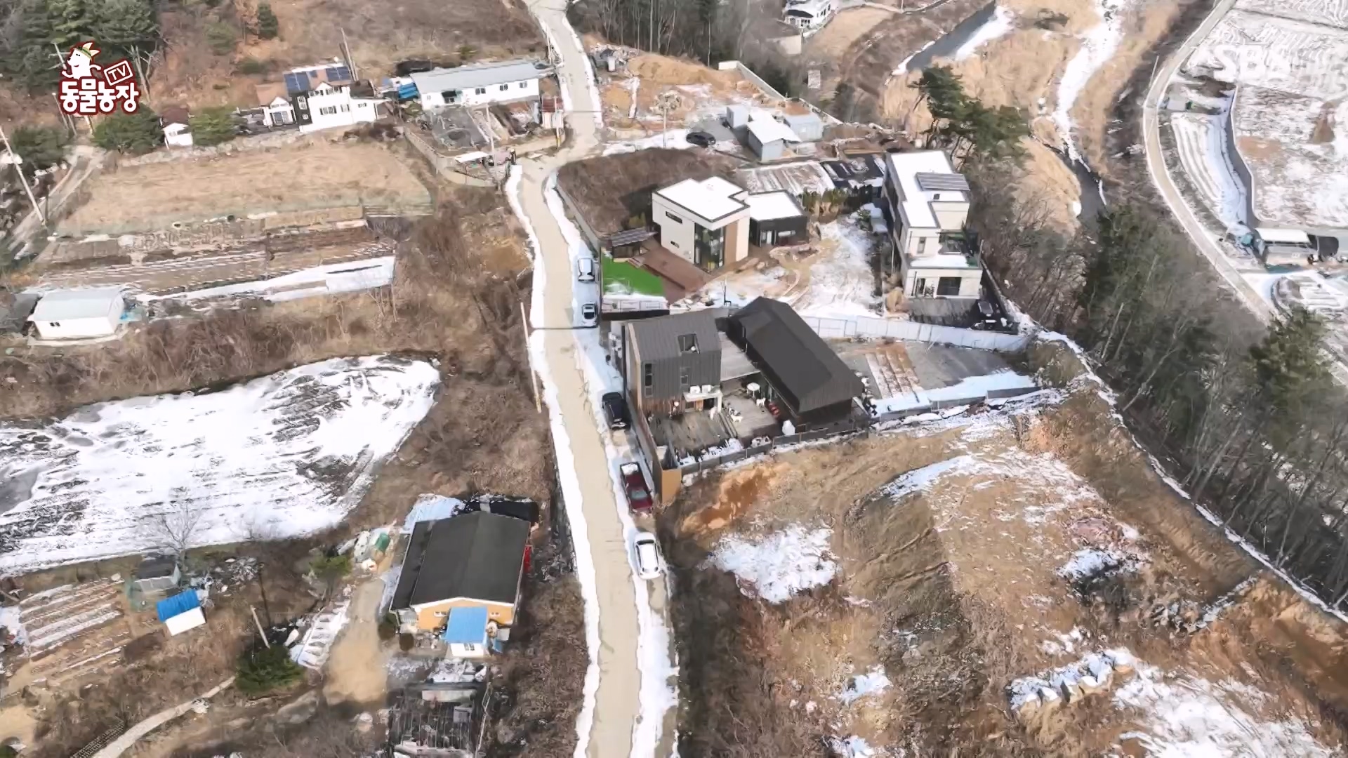 TV 동물농장.E1166.240407p-NEXT.mp4_20240407_164454.683.jpg