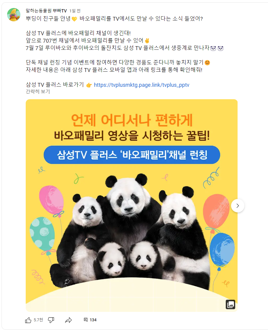 푸바오와 강할부지 만남?! 중국 간 강바오 사육사 동영상, 쌍둥바오 루이,후이 생일파티 인형, 굿즈