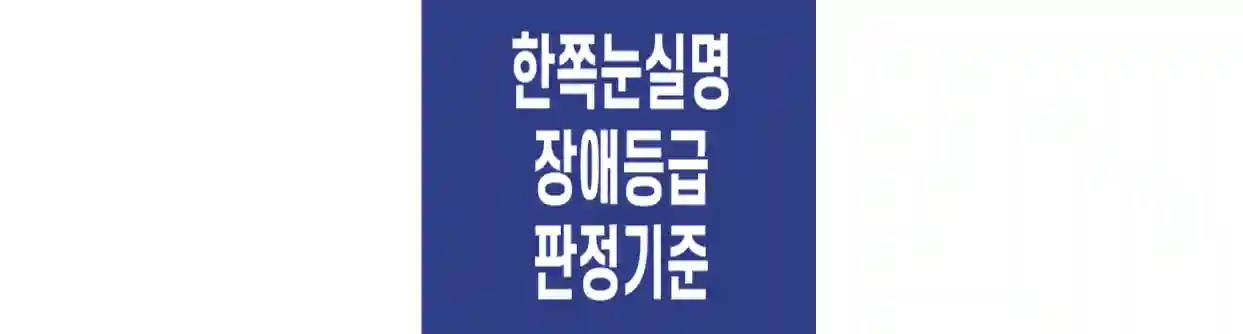 한쪽눈-실명-장애등급-판정