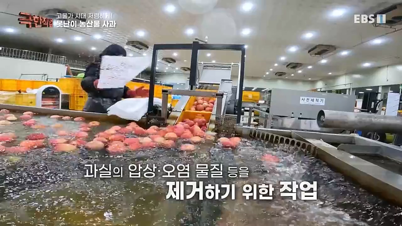 극한직업.E1046.221232p-NEXT.mp4_20230103_200849.110.jpg