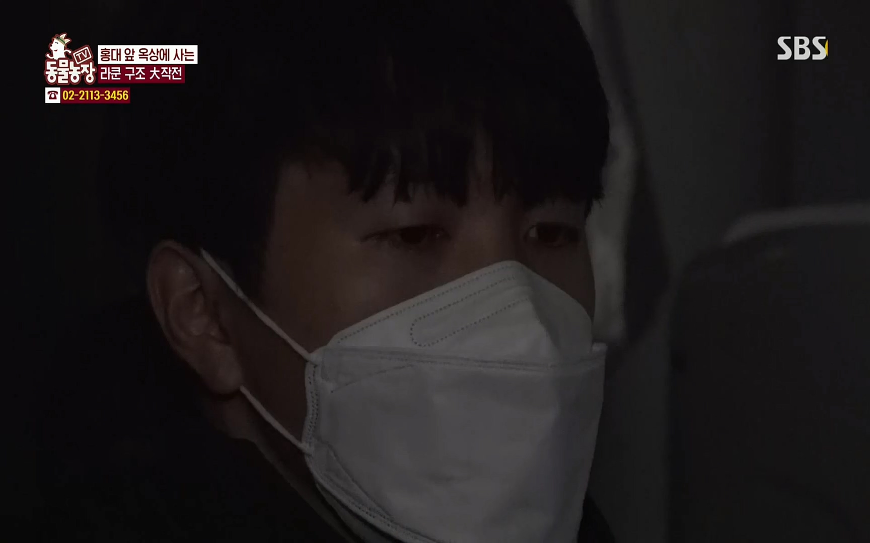 TV 동물농장.E1066.220424p.H264-F1RST.mp4_20220424_201028.852.jpg