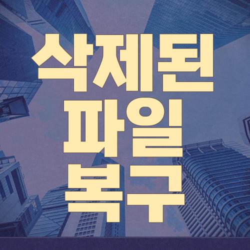 삭제된 파일 복구