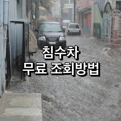 침수차-무료-조회방법