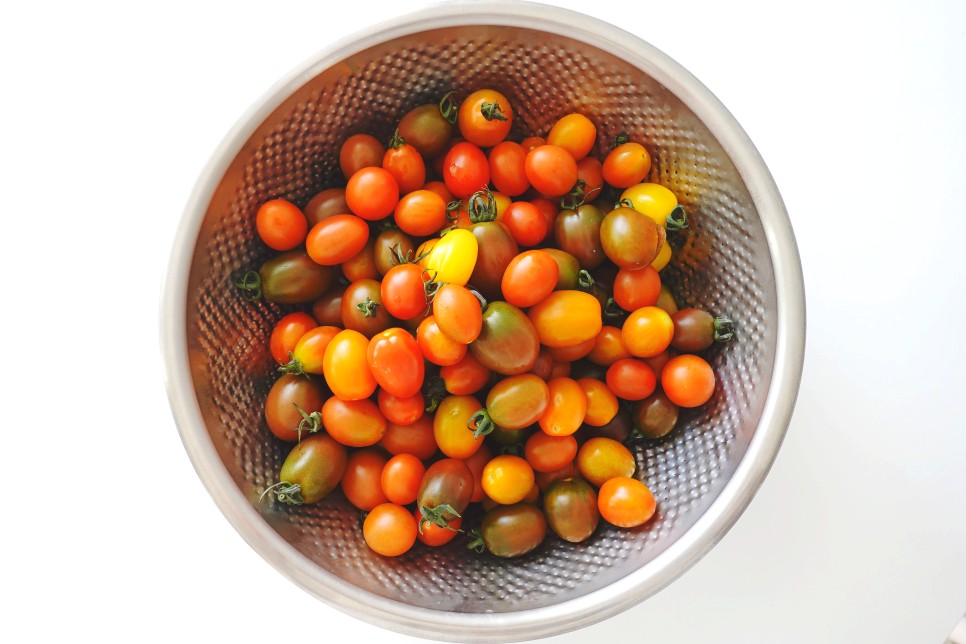 토마토들 산지직송 컬러 9